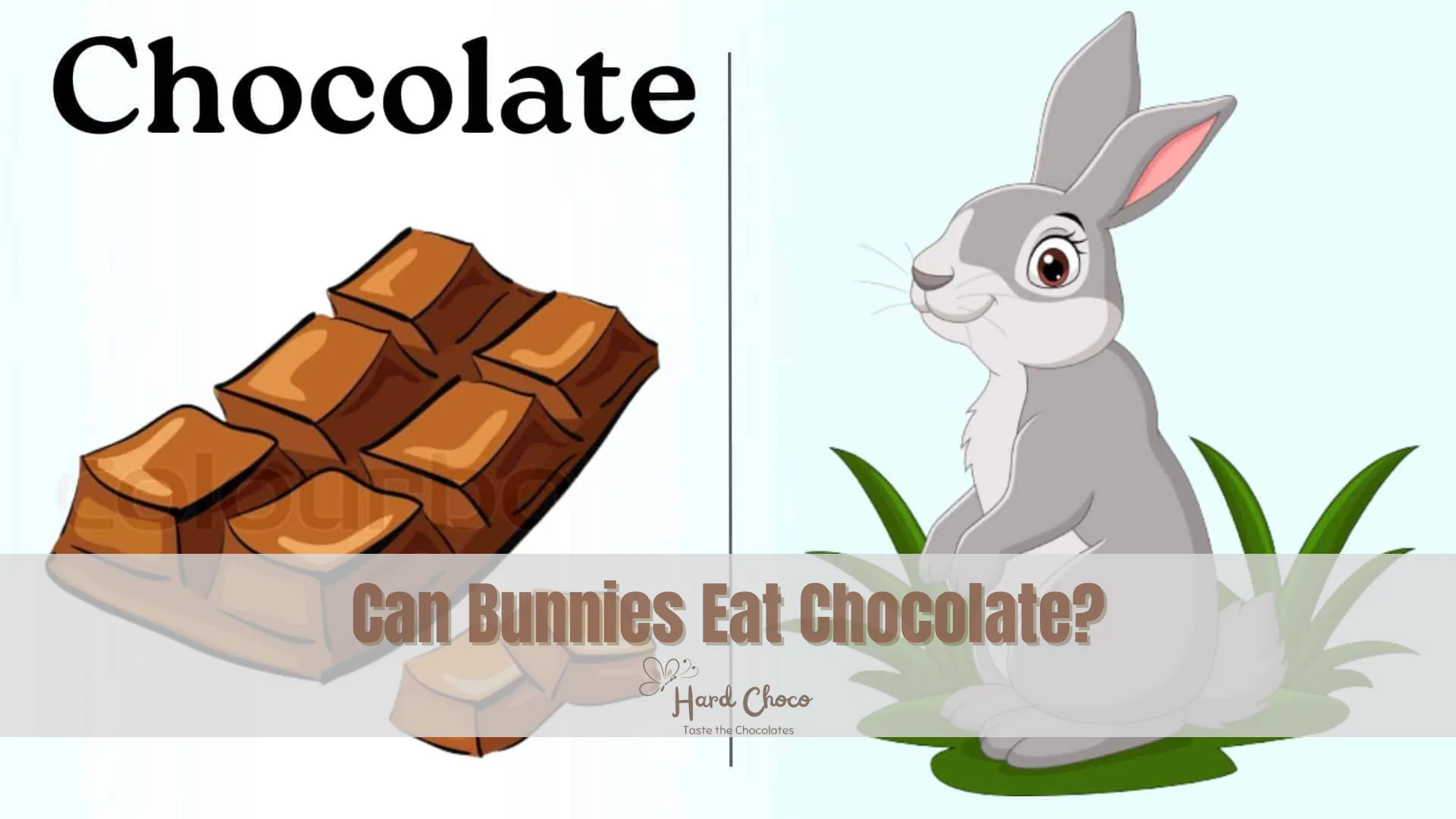 Can Bunnies Eat Chocolate