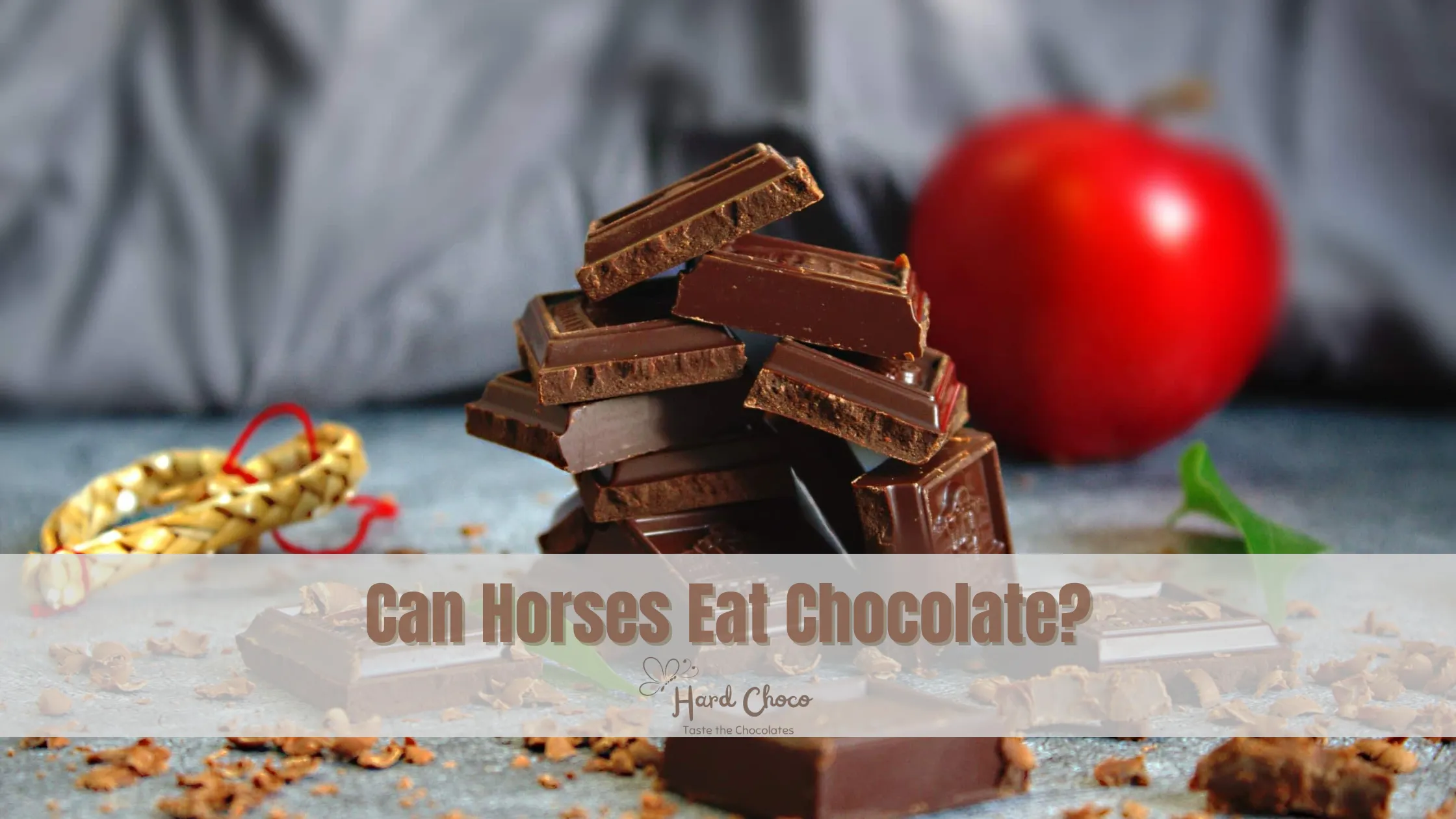 Can Horses Eat Chocolate