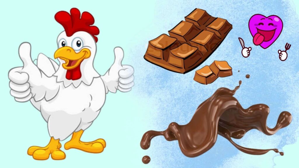 Can Chickens Eat Chocolate?